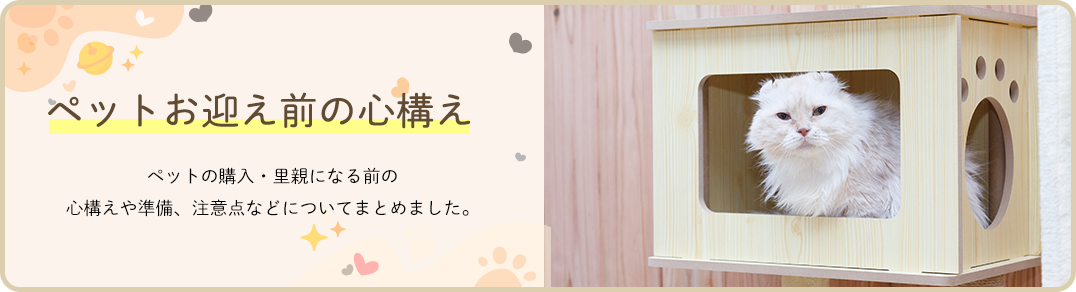 ペットお迎え前の心構え