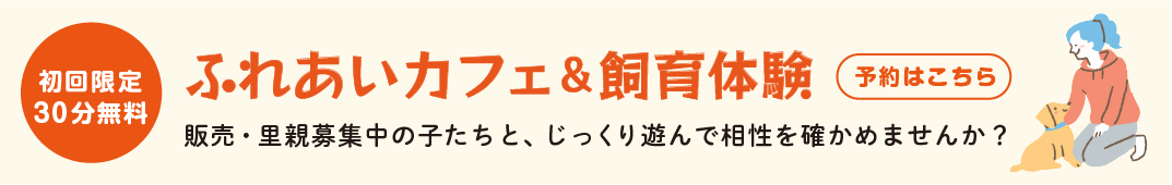 ふれあいカフェ